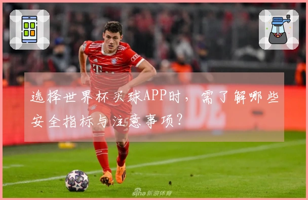 选择世界杯买球APP时，需了解哪些安全指标与注意事项？